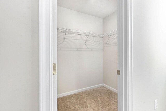 walk in closet with light carpet