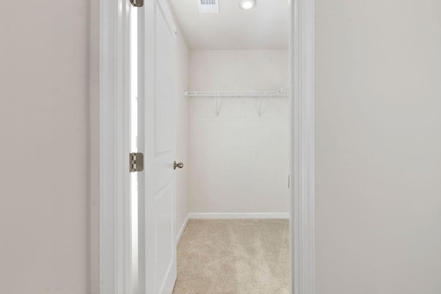 spacious closet with light carpet