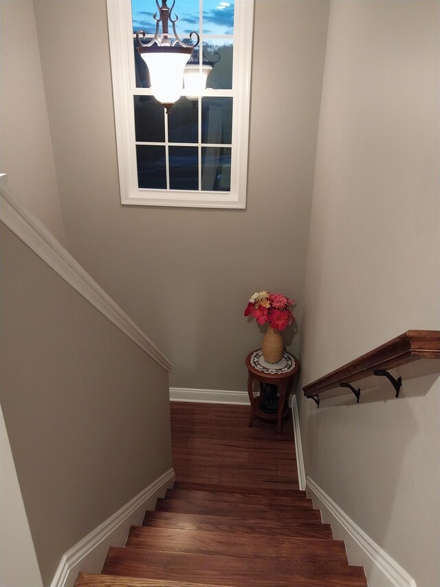 stairway with hardwood / wood-style floors