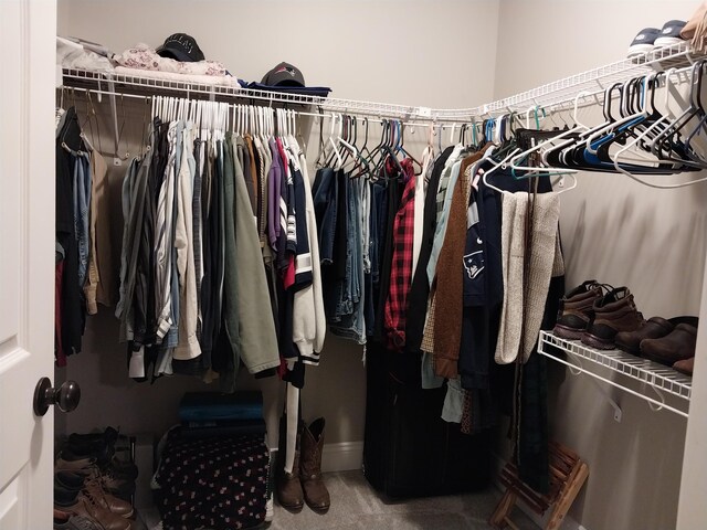 spacious closet featuring carpet floors