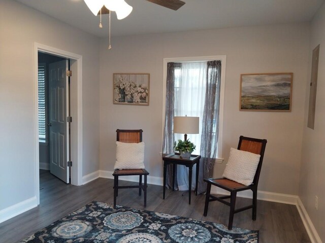 sitting room with dark hardwood / wood-style floors and ceiling fan