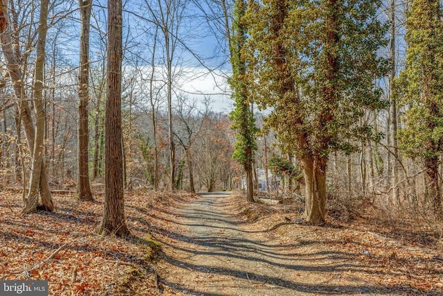 view of street featuring a forest view