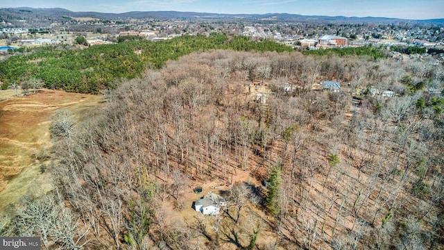 birds eye view of property with a mountain view