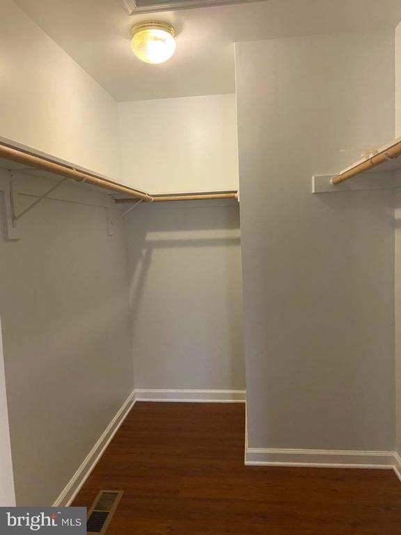 spacious closet featuring dark wood-type flooring