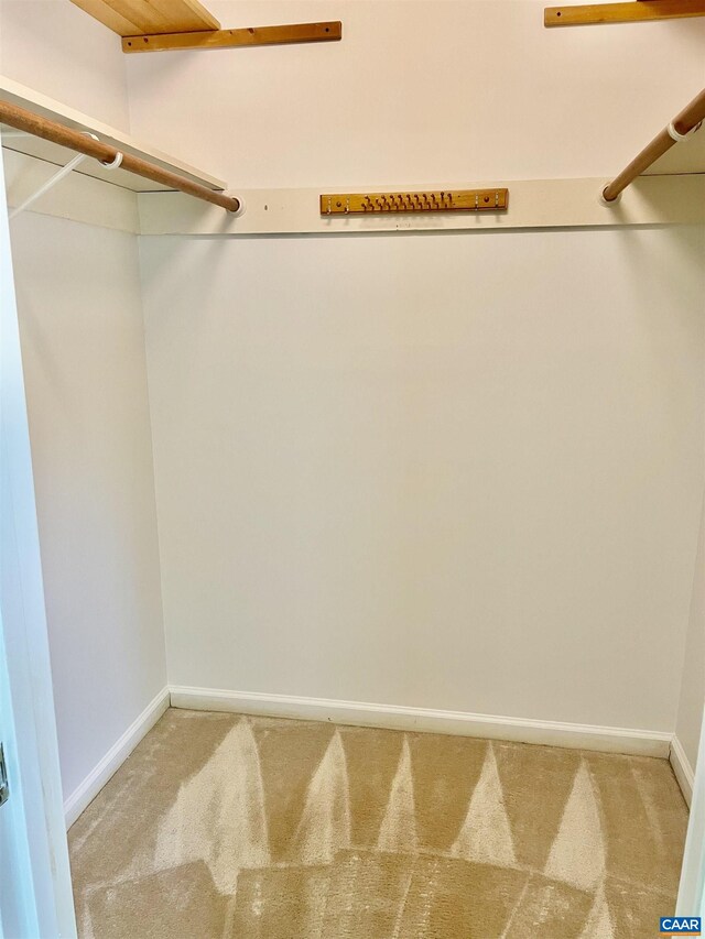 walk in closet with light colored carpet