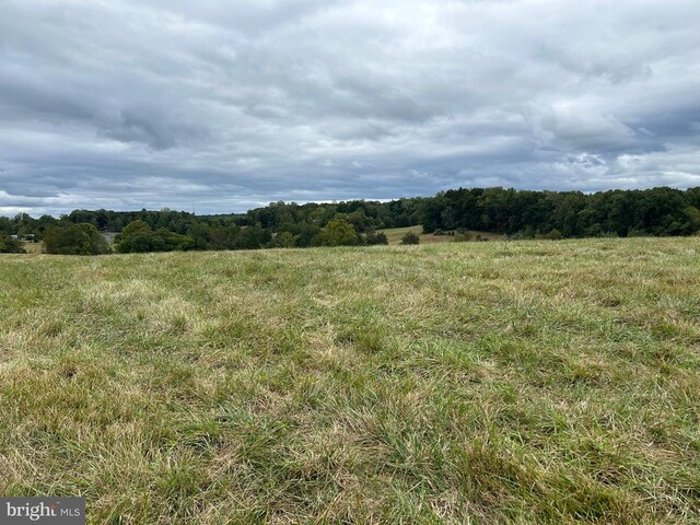 view of local wilderness with a rural view