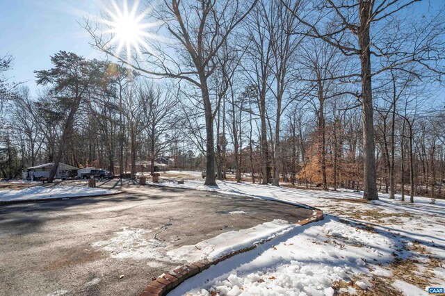 view of yard covered in snow