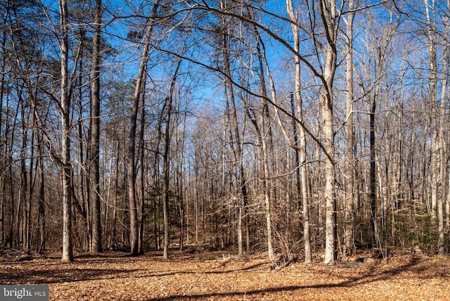 view of local wilderness with a forest view