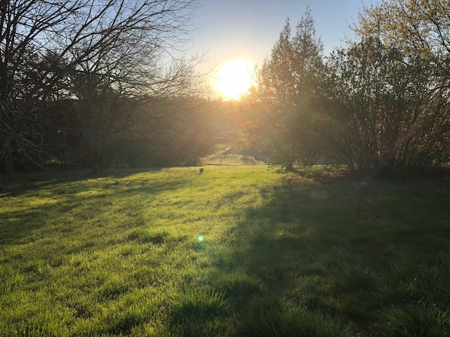 view of yard at dusk