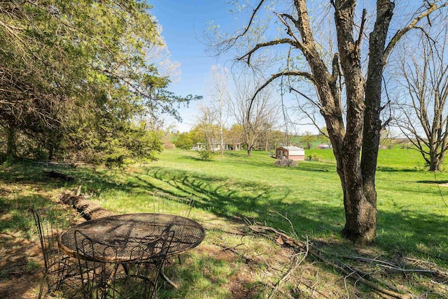 view of yard