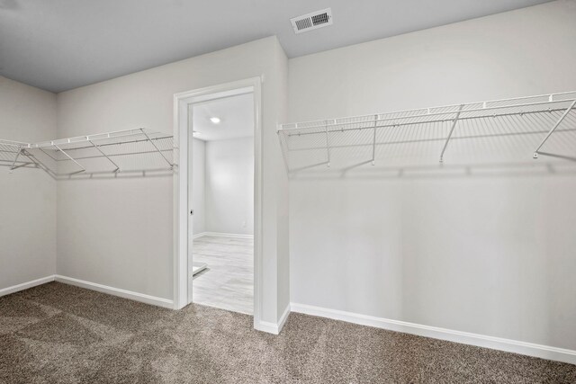 spacious closet featuring visible vents and carpet floors