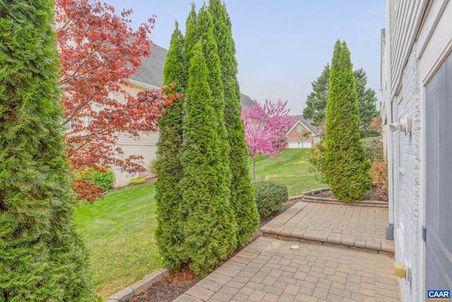 view of yard with a patio