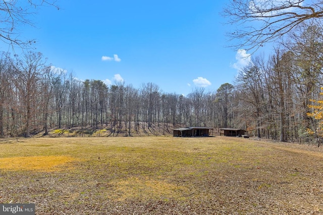 view of yard featuring an outbuilding and a forest view