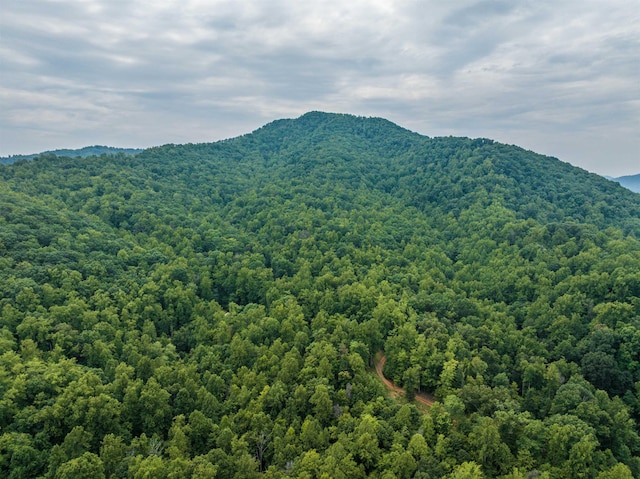 0 Pilot Mountain Holw, Faber VA, 22938 land for sale