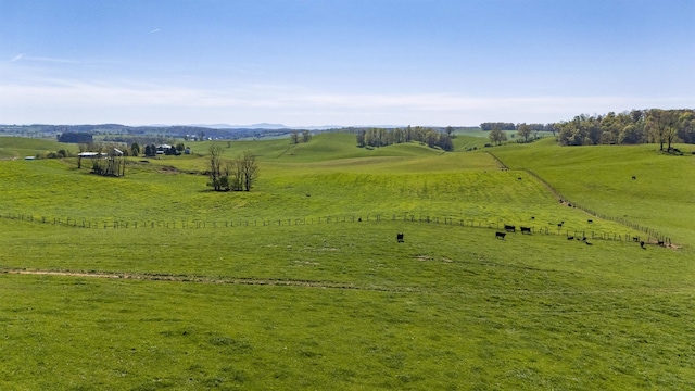 drone / aerial view featuring a rural view