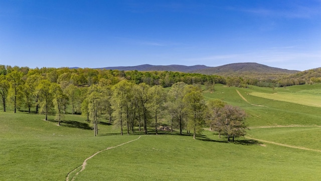 view of community with a mountain view and a yard