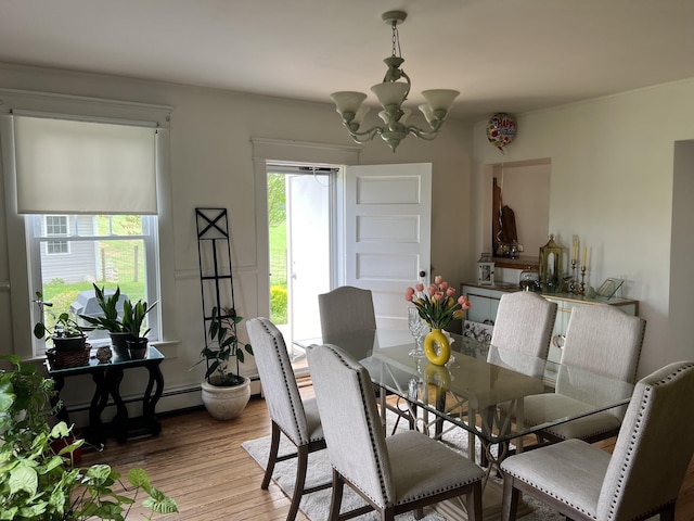 dining room with a notable chandelier, light hardwood / wood-style flooring, and a baseboard radiator