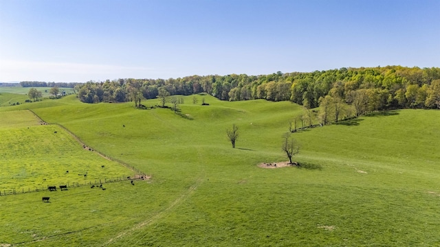 drone / aerial view with a rural view