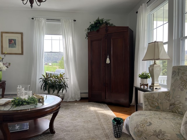 sitting room featuring a baseboard radiator and hardwood / wood-style floors