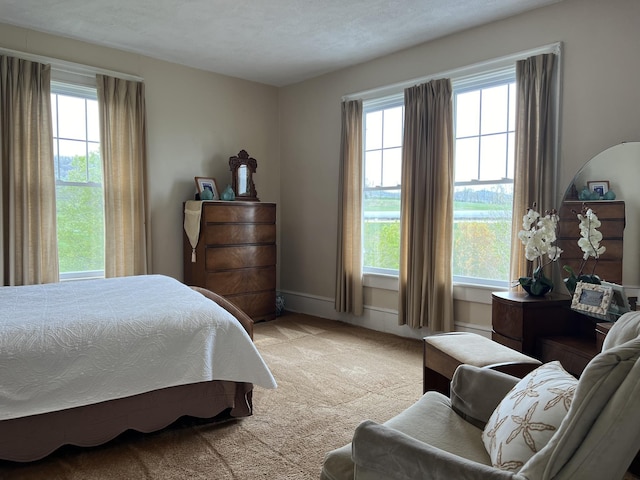 bedroom with light colored carpet