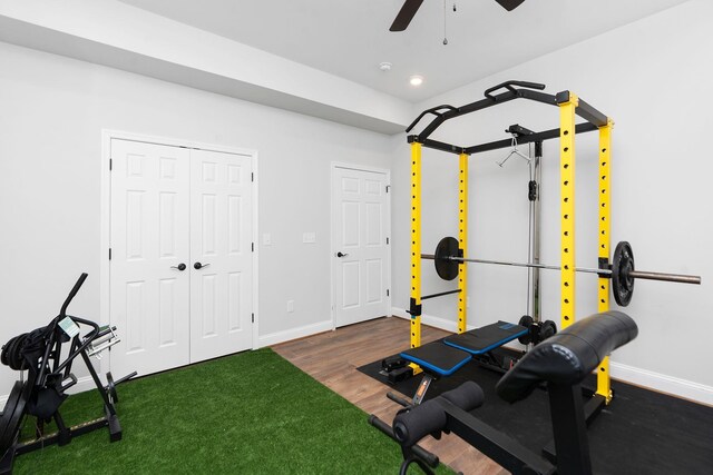 exercise room featuring ceiling fan and dark hardwood / wood-style flooring