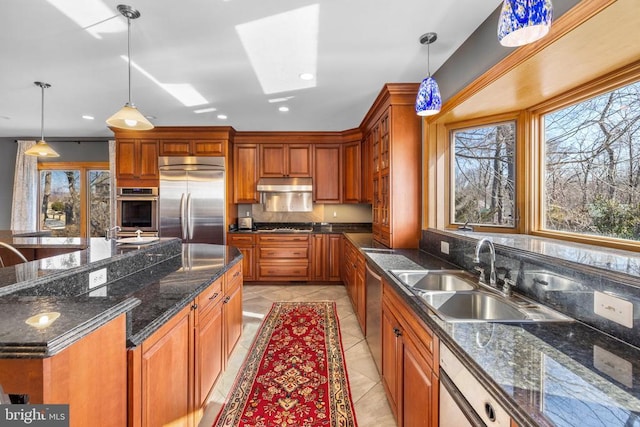 kitchen featuring under cabinet range hood, plenty of natural light, appliances with stainless steel finishes, and a sink