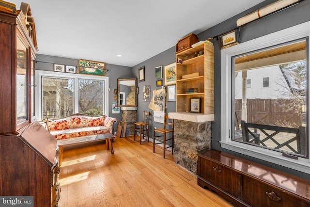 living area with light wood-type flooring and plenty of natural light