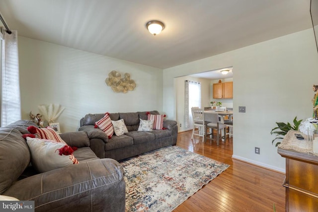 living room with baseboards and light wood-style floors