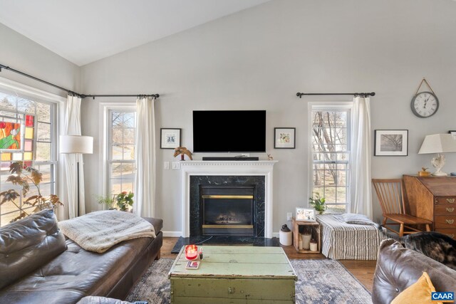 living room featuring a fireplace, lofted ceiling, and wood finished floors