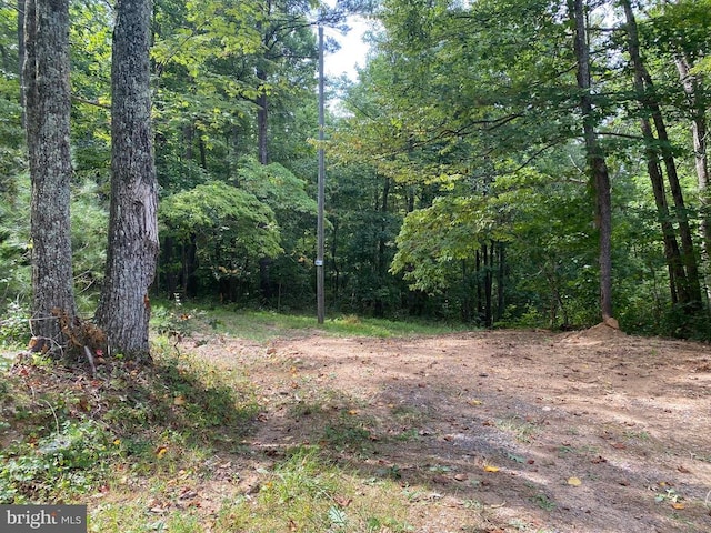 Jackson Ln, Boston VA, 22713 land for sale