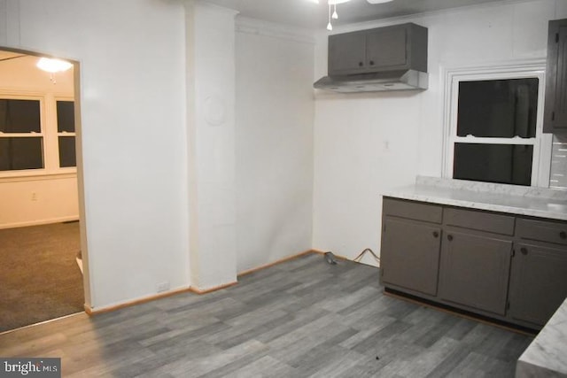 kitchen featuring gray cabinetry, crown molding, and wood-type flooring