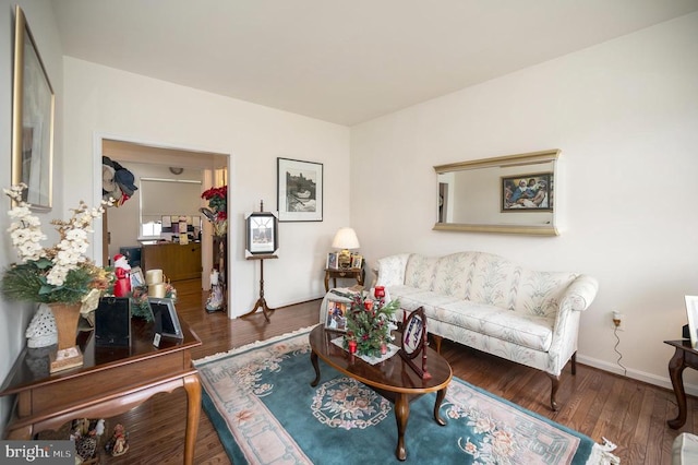 living room featuring hardwood / wood-style floors