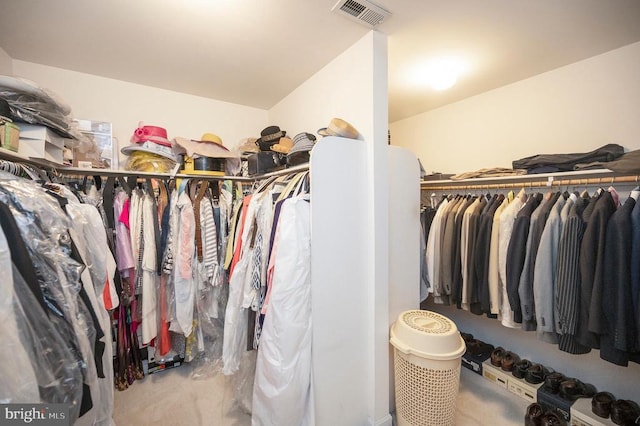 view of spacious closet