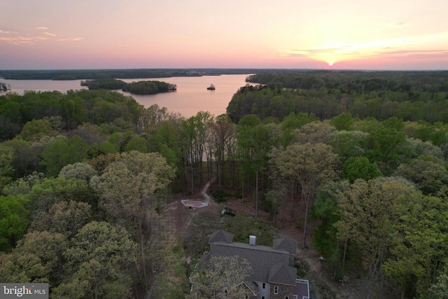 drone / aerial view featuring a view of trees and a water view