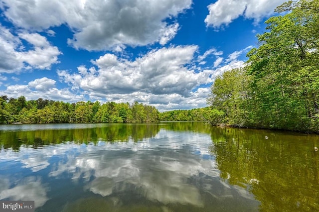 water view featuring a wooded view