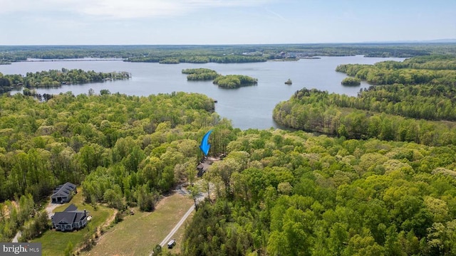 bird's eye view featuring a view of trees and a water view