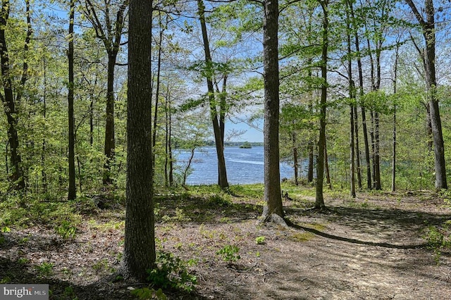 property view of water featuring a view of trees