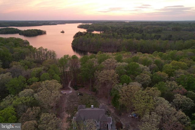 aerial view at dusk with a view of trees and a water view