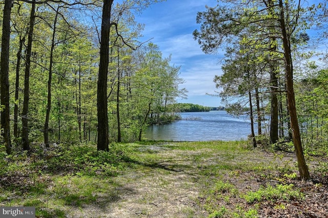 view of water feature featuring a forest view