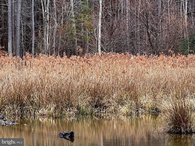 view of nature featuring a water view and a forest view