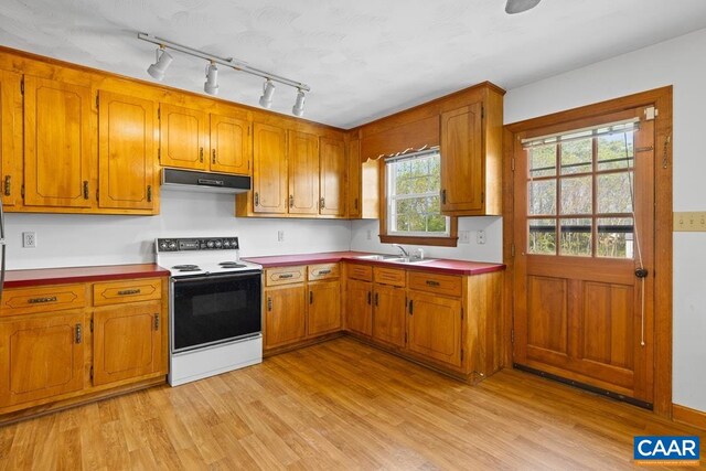 kitchen featuring brown cabinetry, range with electric cooktop, a sink, light wood finished floors, and under cabinet range hood