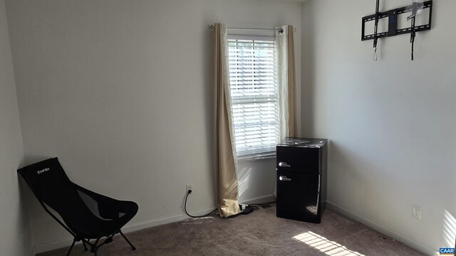 sitting room with dark colored carpet