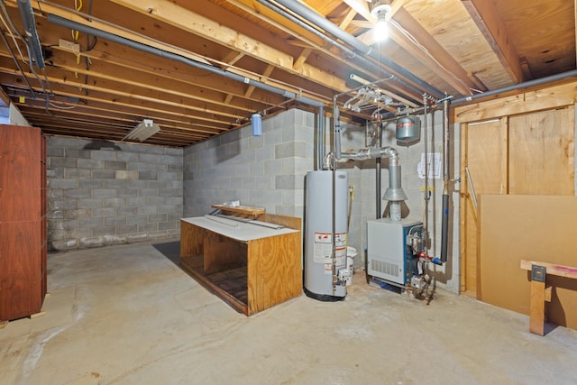 basement with gas water heater