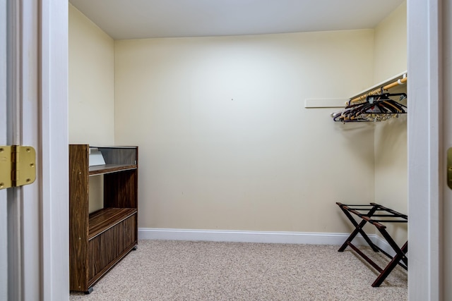 spacious closet with light colored carpet