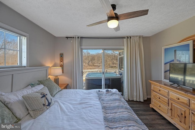 bedroom featuring multiple windows, dark hardwood / wood-style floors, access to outside, and ceiling fan