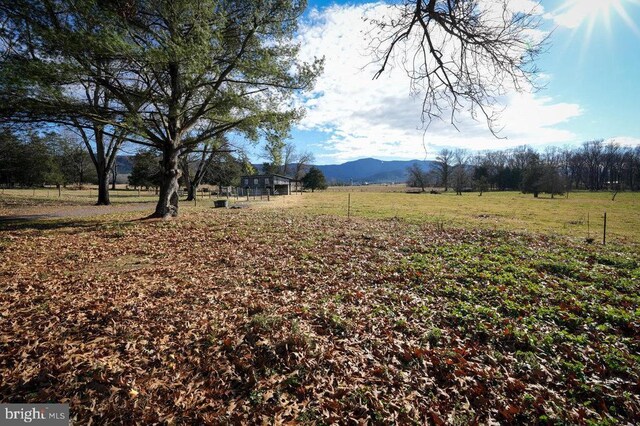 view of yard with a mountain view and a rural view