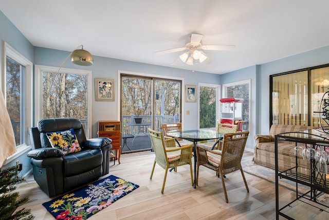 dining room featuring ceiling fan and light hardwood / wood-style flooring