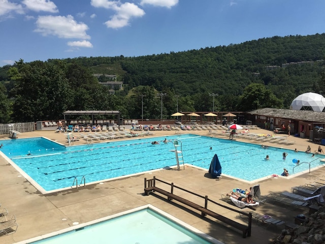 view of swimming pool with a patio area