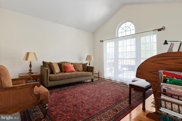 living area featuring wood finished floors and high vaulted ceiling