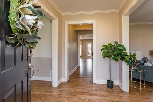 interior space with baseboards, wood finished floors, and crown molding